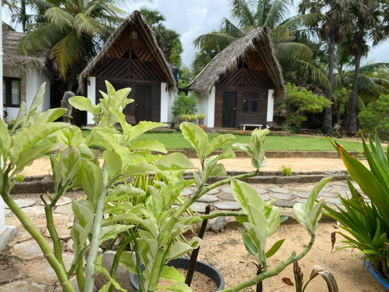 Kitelife Resort Kalpitiya Exterior photo